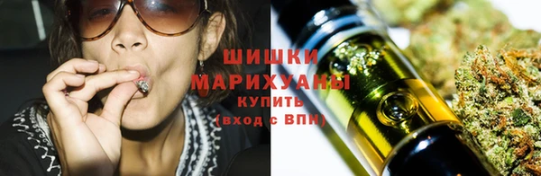 соль ск Богданович