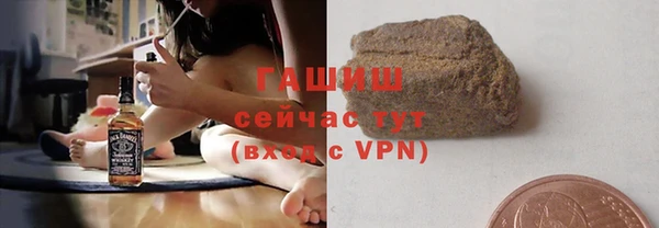шишки Бородино