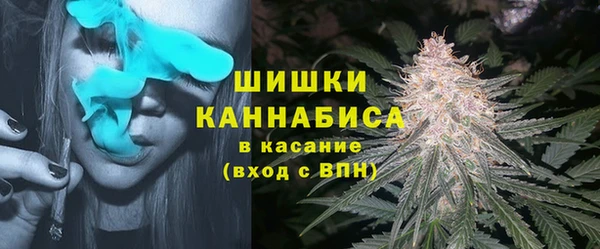 ПСИЛОЦИБИНОВЫЕ ГРИБЫ Богородск