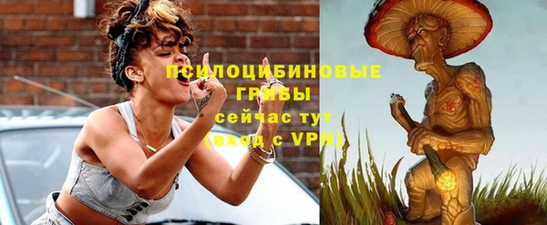 трава Бронницы