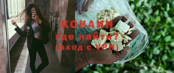 шишки Бородино