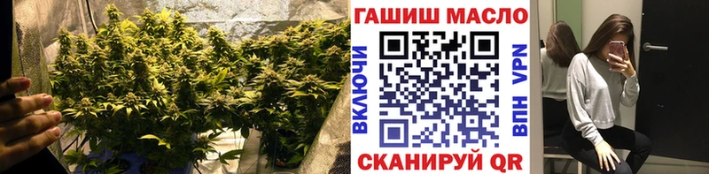 ТГК гашишное масло  ОМГ ОМГ как войти  Кирс 